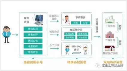 國產(chǎn)醫(yī)療器械崛起 資本青睞與進(jìn)口替代浪潮下的互聯(lián)網(wǎng)信息服務(wù)新機(jī)遇
